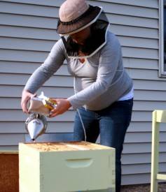 mama bee