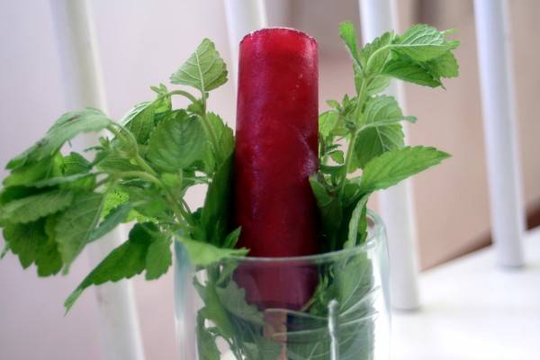 hibiscus ice pop 1