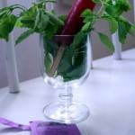 hibiscus ice pop 2
