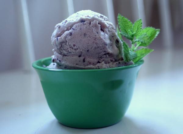 blueberry ice cream 2